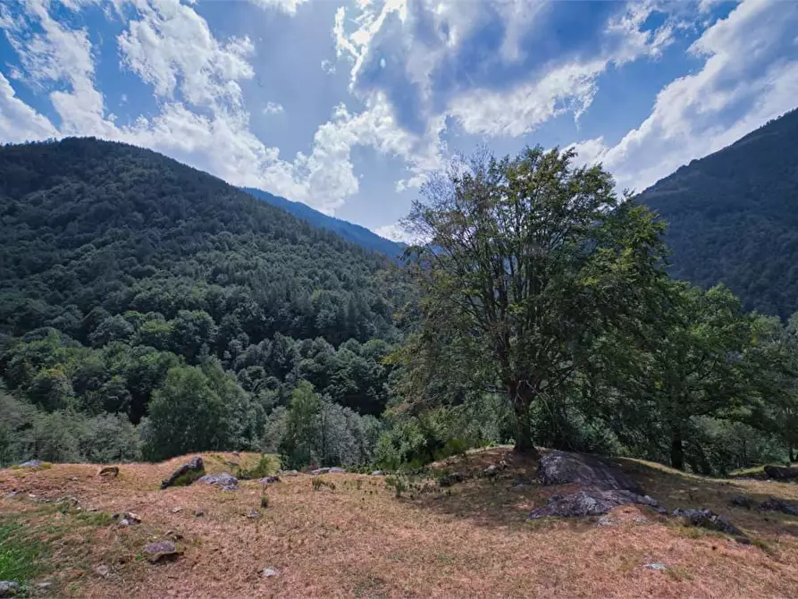 Immagine 36 di Baita in vendita  in VAL LOANA a Malesco