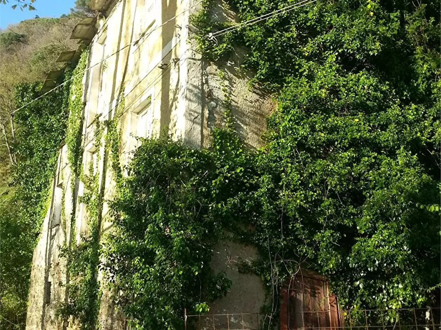 Immagine 5 di Villa in vendita  in Via Soglio a Orero