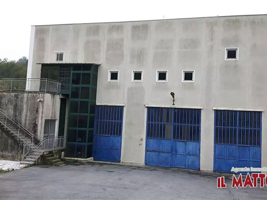 Immagine 15 di Capannone industriale in affitto  a Ceranesi