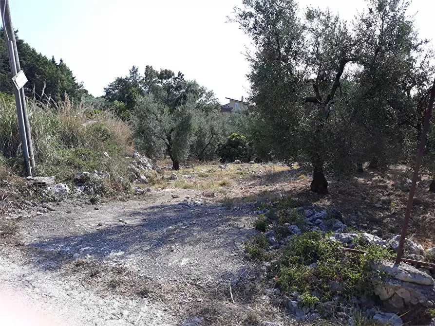 Immagine 2 di Terreno agricolo in vendita  a Itri