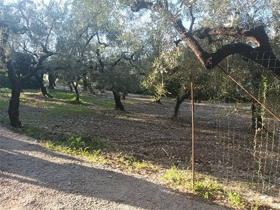 Immagine 3 di Casa indipendente in vendita  a Minturno