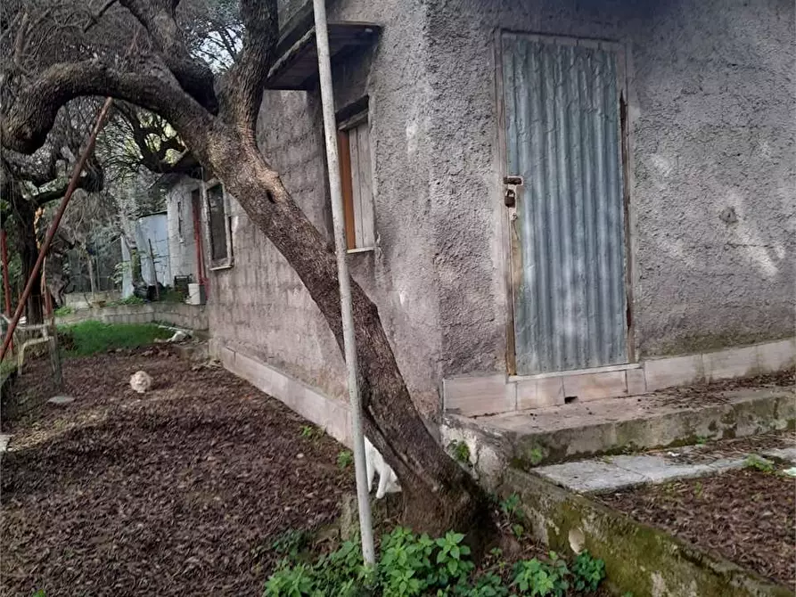 Immagine 7 di Terreno agricolo in vendita  a Formia