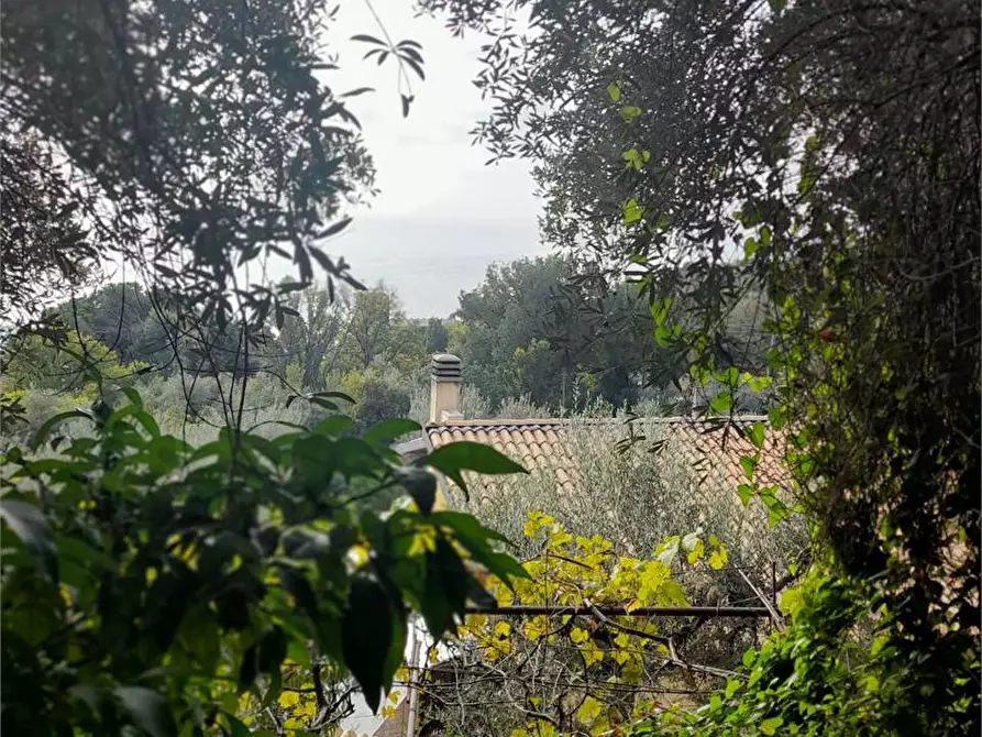 Immagine 5 di Terreno agricolo in vendita  a Formia