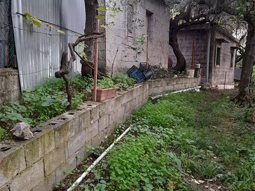 Immagine 8 di Terreno agricolo in vendita  a Formia