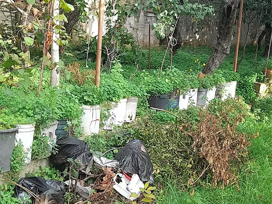 Immagine 6 di Terreno agricolo in vendita  a Formia