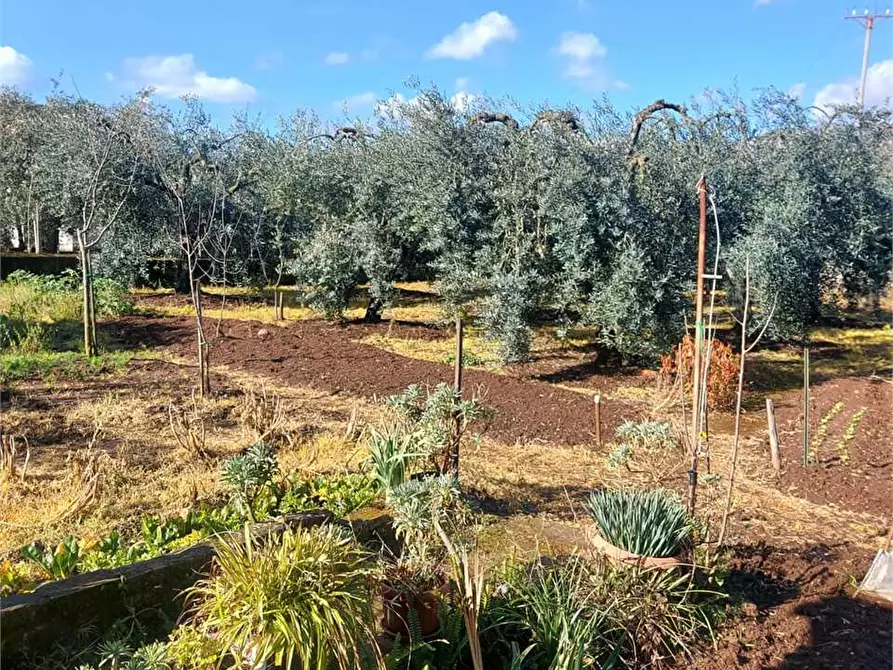 Immagine 6 di Villa in vendita  a Formia