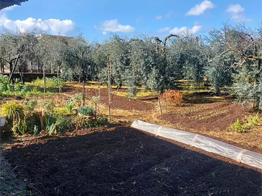 Immagine 5 di Villa in vendita  a Formia