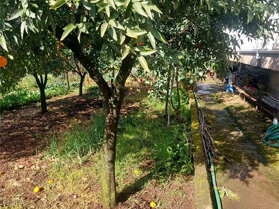 Immagine 21 di Villa in vendita  a Formia