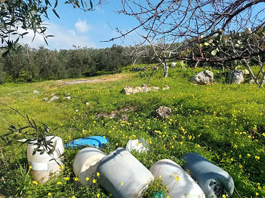 Immagine 2 di Terreno agricolo in vendita  a Gaeta
