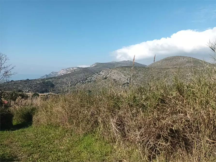 Immagine 4 di Terreno agricolo in vendita  a Gaeta