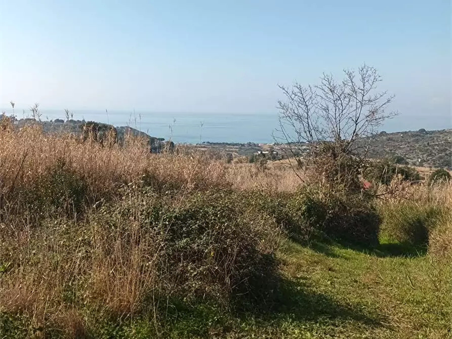 Immagine 5 di Terreno agricolo in vendita  a Gaeta