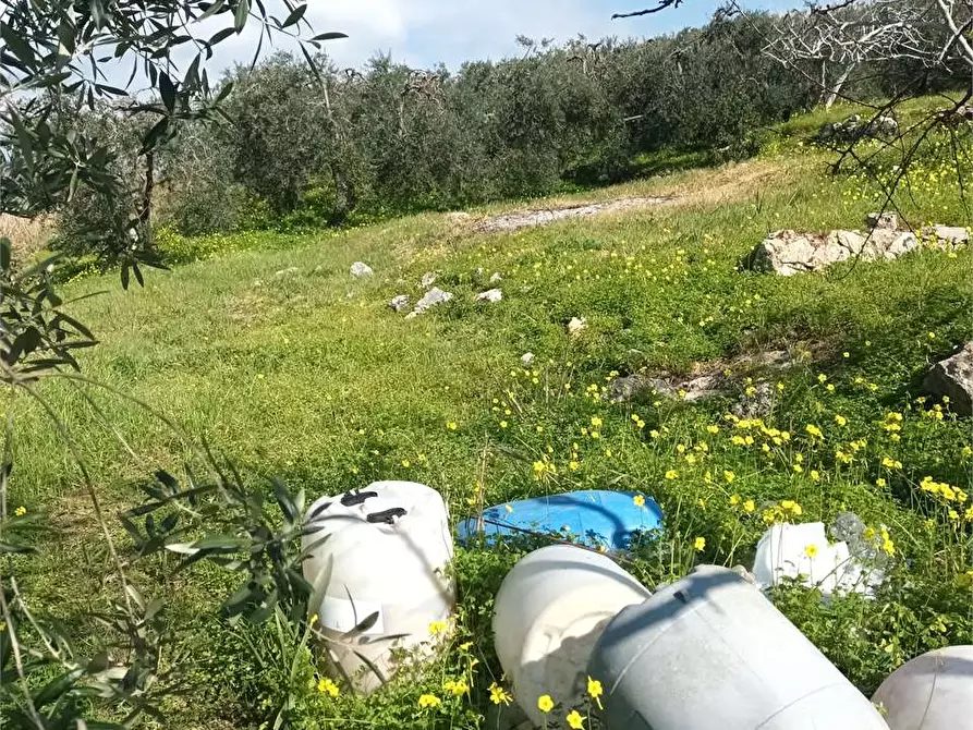 Immagine 7 di Terreno agricolo in vendita  a Gaeta