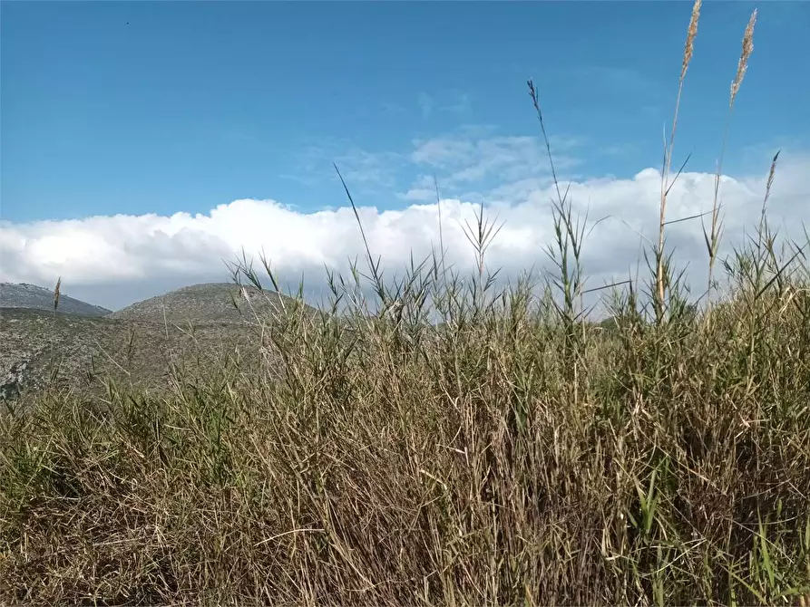 Immagine 8 di Terreno agricolo in vendita  a Gaeta