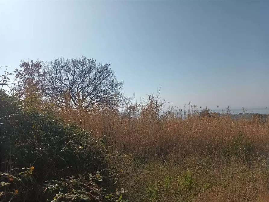 Immagine 10 di Terreno agricolo in vendita  a Gaeta