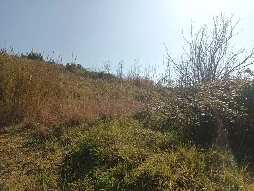 Immagine 11 di Terreno agricolo in vendita  a Gaeta