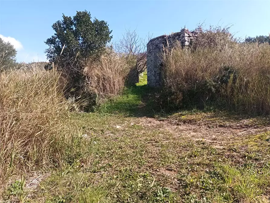 Immagine 12 di Terreno agricolo in vendita  a Gaeta