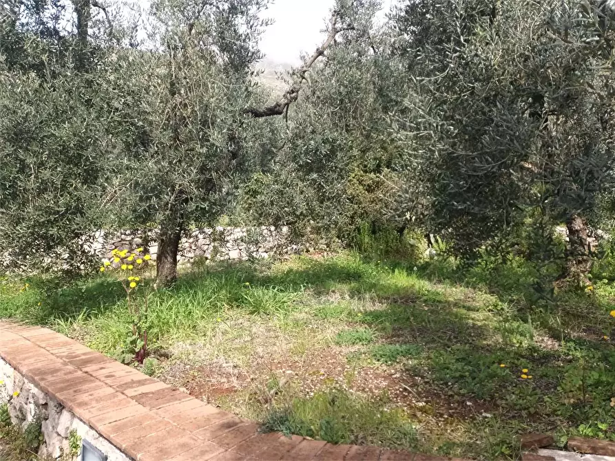 Immagine 25 di Villa in vendita  a Itri