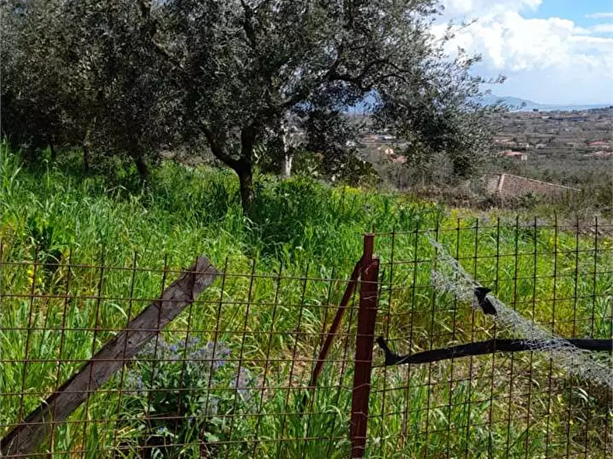 Immagine 4 di Rustico / casale in vendita  a Formia