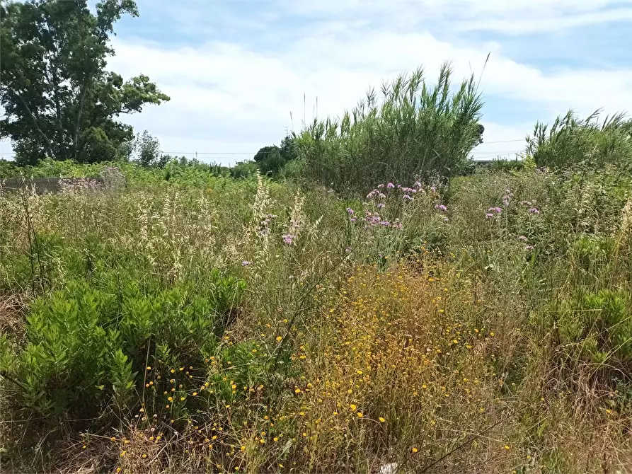 Immagine 2 di Terreno agricolo in vendita  a Formia