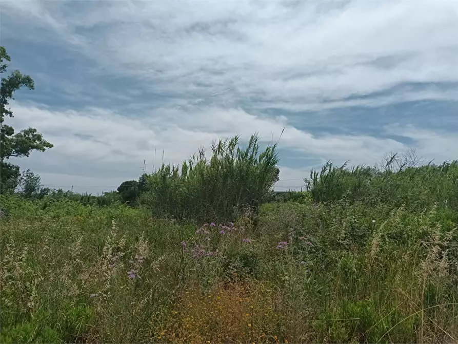 Immagine 4 di Terreno agricolo in vendita  a Formia