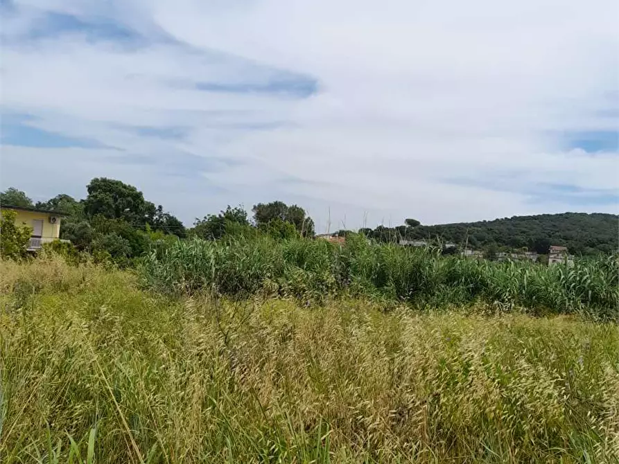Immagine 7 di Terreno agricolo in vendita  a Formia