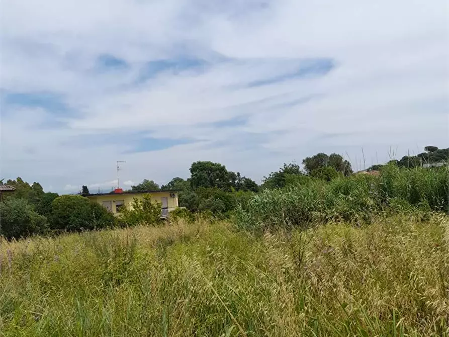 Immagine 5 di Terreno agricolo in vendita  a Formia