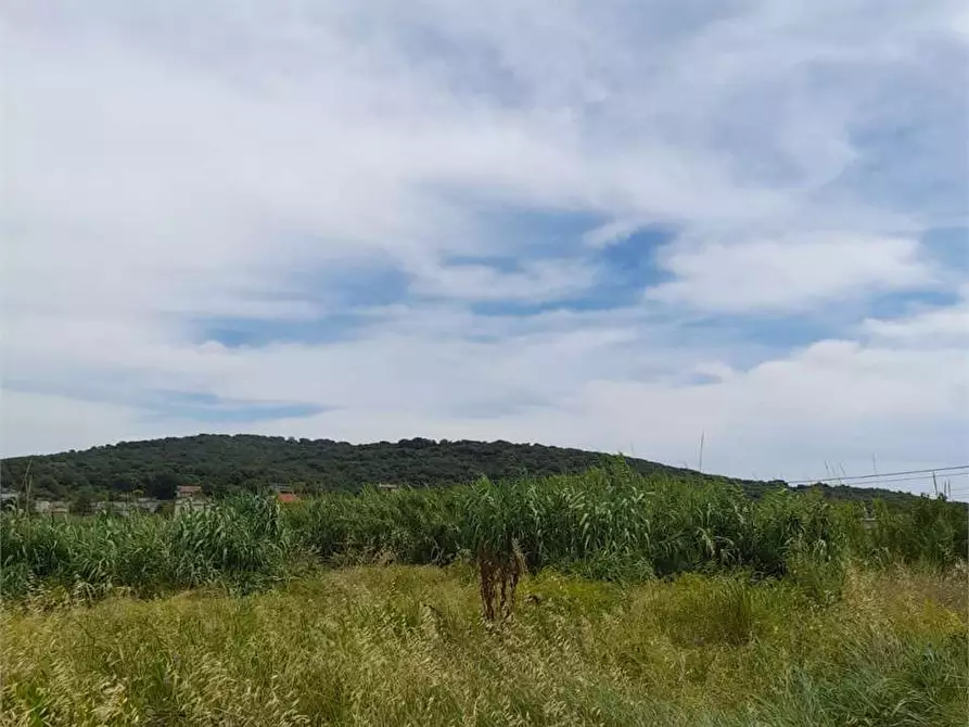 Immagine 6 di Terreno agricolo in vendita  a Formia