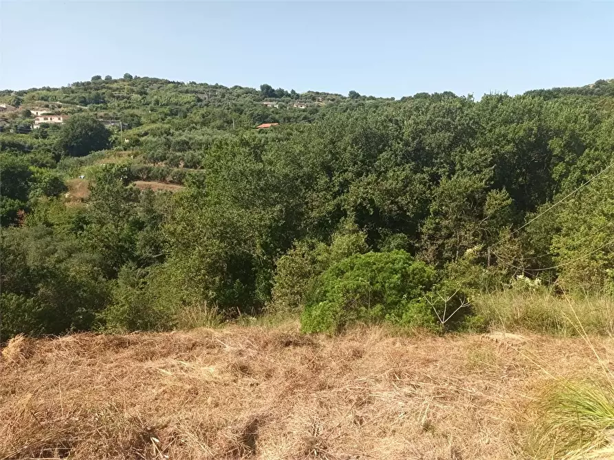 Immagine 2 di Rustico / casale in vendita  a Gaeta