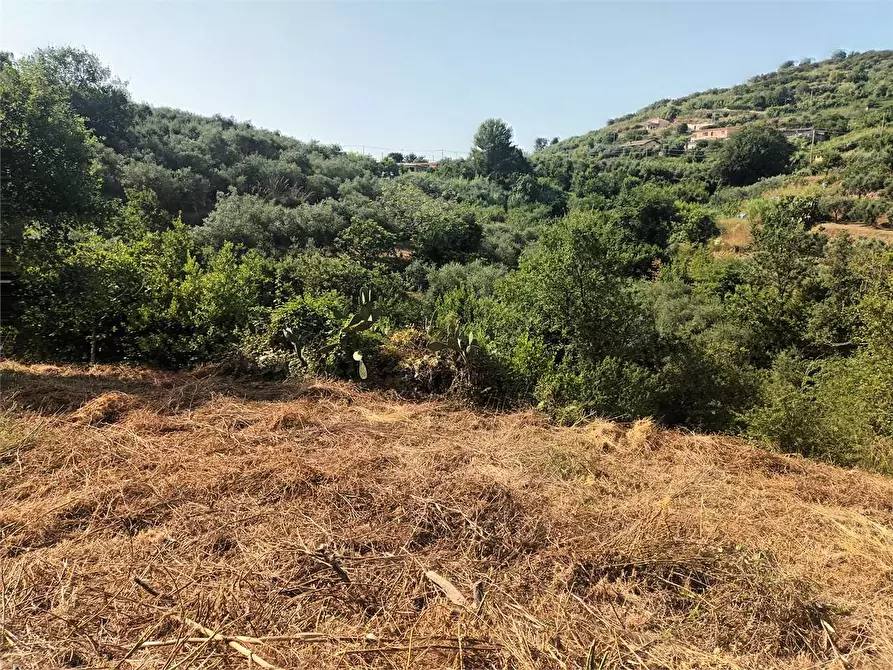 Immagine 3 di Rustico / casale in vendita  a Gaeta