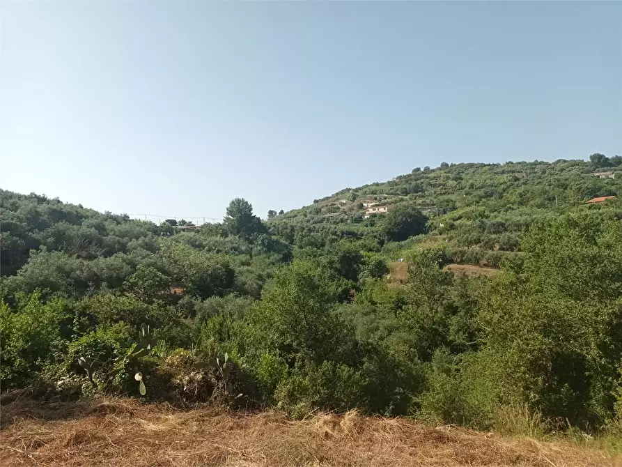 Immagine 4 di Rustico / casale in vendita  a Gaeta