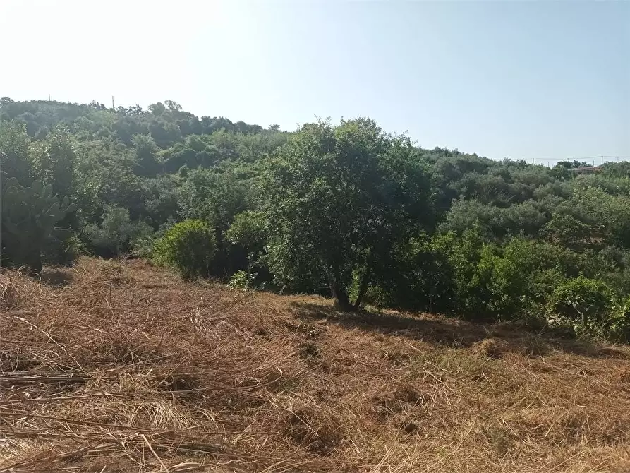 Immagine 5 di Rustico / casale in vendita  a Gaeta