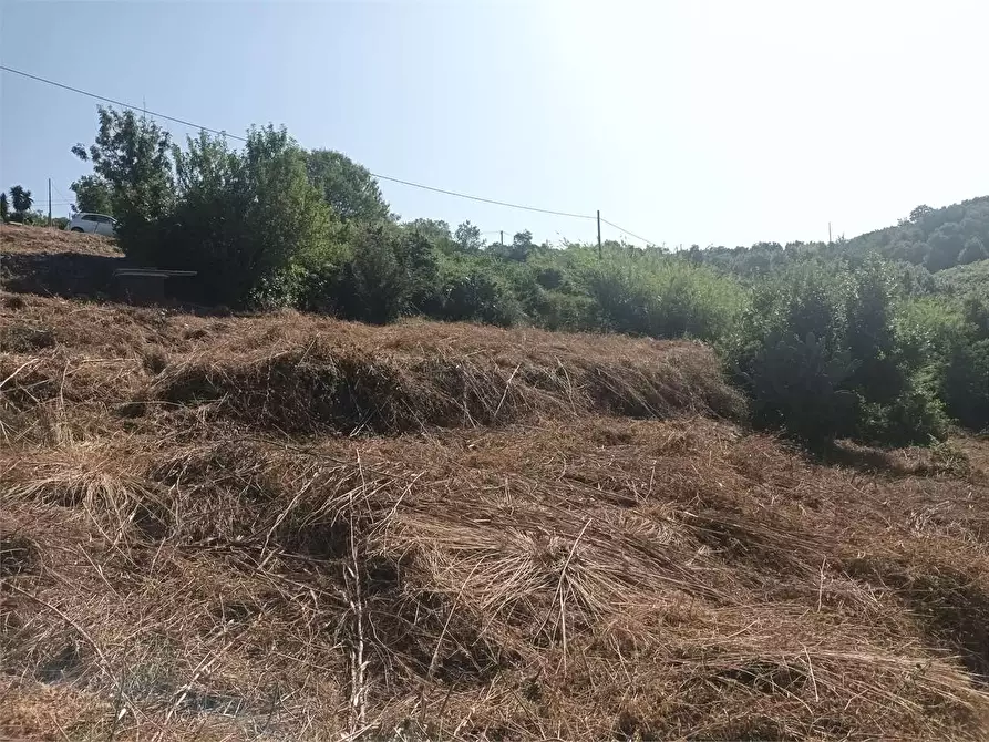 Immagine 6 di Rustico / casale in vendita  a Gaeta