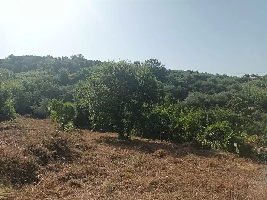 Immagine 7 di Rustico / casale in vendita  a Gaeta