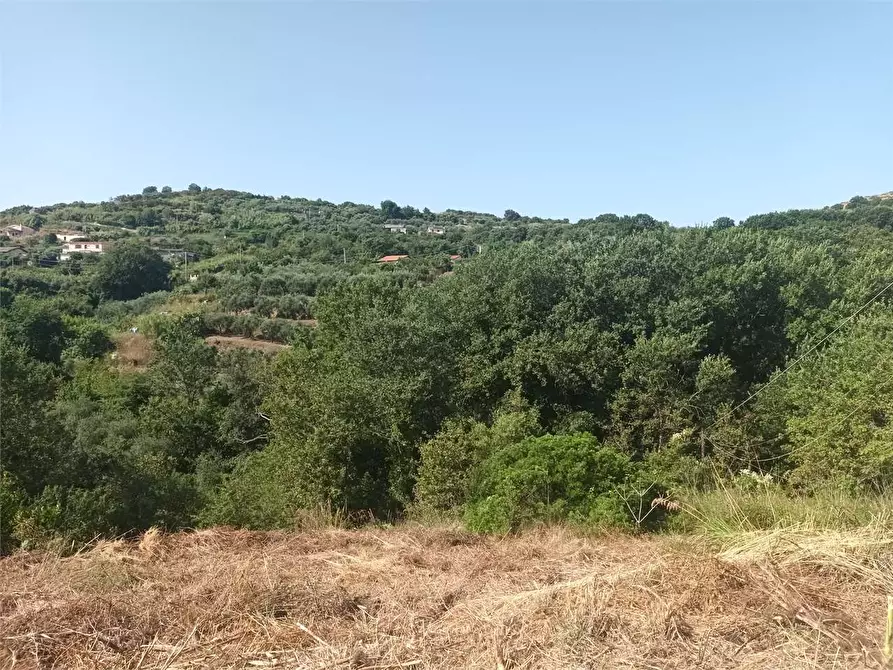 Immagine 8 di Rustico / casale in vendita  a Gaeta