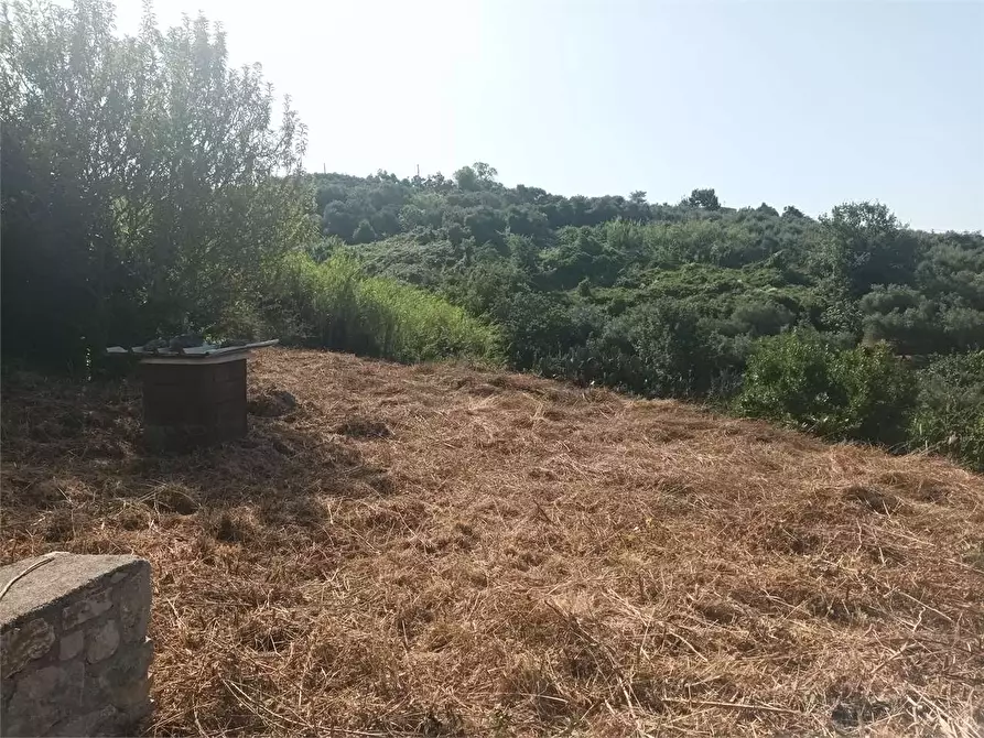 Immagine 11 di Rustico / casale in vendita  a Gaeta
