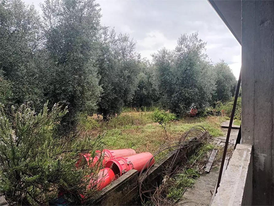 Immagine 4 di Villa in vendita  a Formia