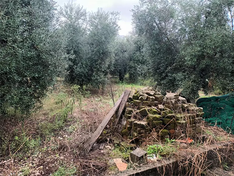 Immagine 2 di Villa in vendita  a Formia