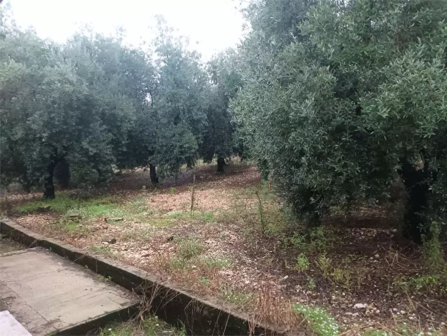 Immagine 3 di Villa in vendita  a Formia