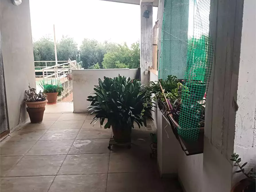 Immagine 7 di Villa in vendita  a Formia