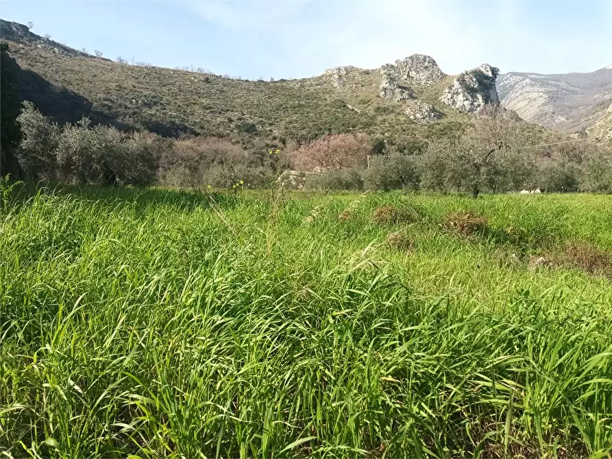 Immagine 3 di Terreno agricolo in vendita  a Spigno Saturnia