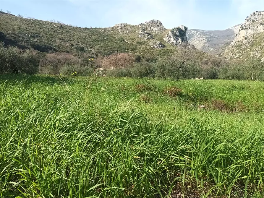 Immagine 4 di Terreno agricolo in vendita  a Spigno Saturnia