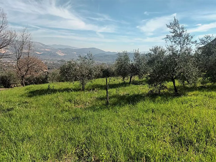 Immagine 5 di Terreno agricolo in vendita  a Spigno Saturnia