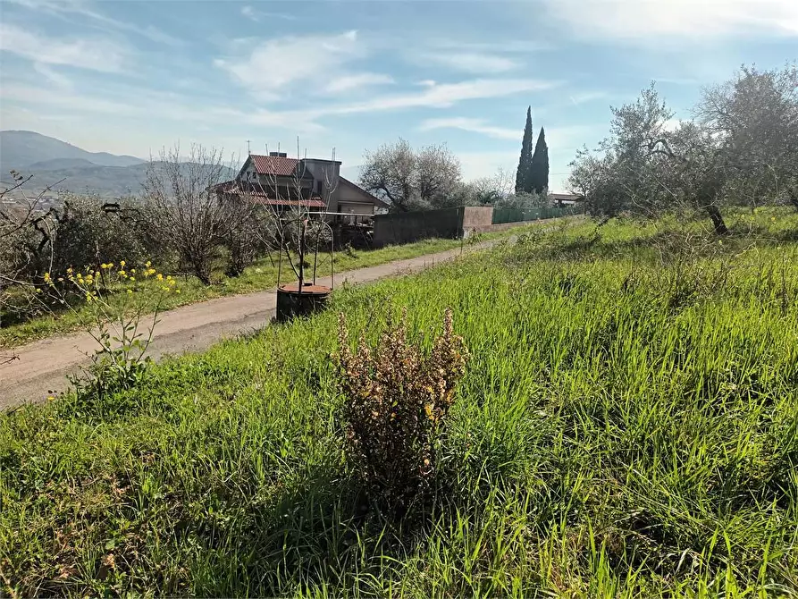 Immagine 2 di Terreno agricolo in vendita  a Spigno Saturnia