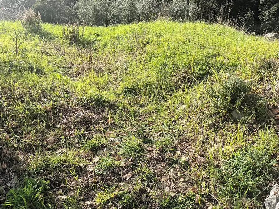 Immagine 7 di Terreno agricolo in vendita  a Spigno Saturnia