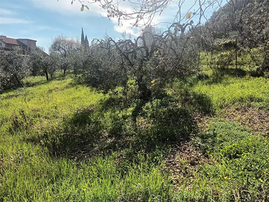 Immagine 8 di Terreno agricolo in vendita  a Spigno Saturnia
