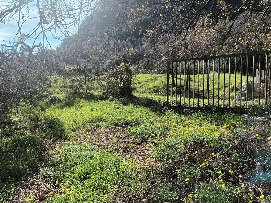 Immagine 9 di Terreno agricolo in vendita  a Spigno Saturnia