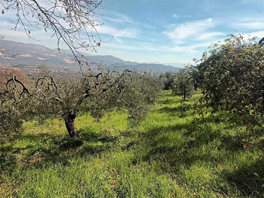 Immagine 10 di Terreno agricolo in vendita  a Spigno Saturnia