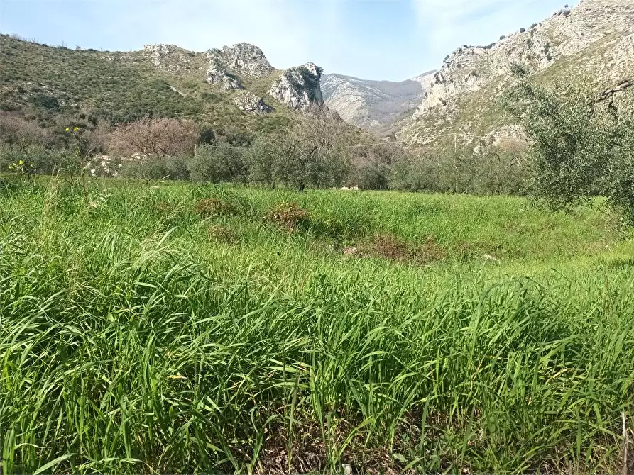 Immagine 12 di Terreno agricolo in vendita  a Spigno Saturnia