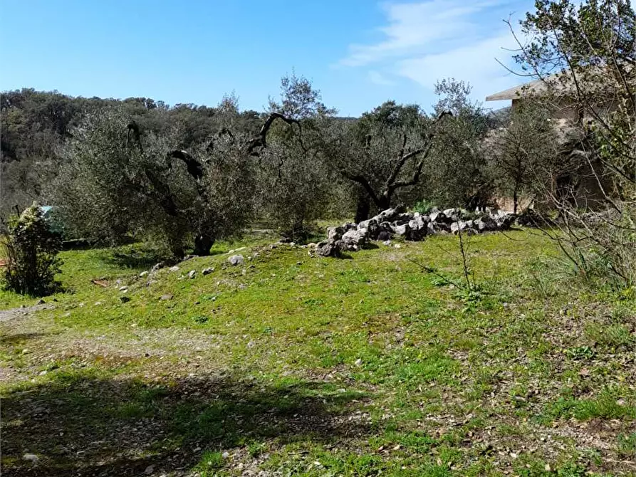 Immagine 8 di Rustico / casale in vendita  a Itri