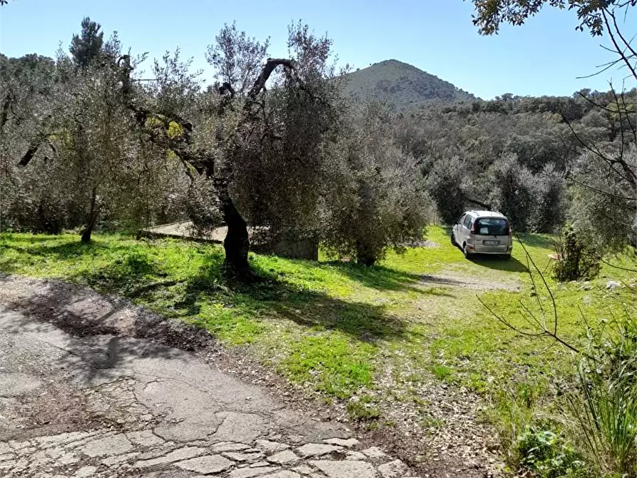 Immagine 9 di Rustico / casale in vendita  a Itri